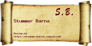 Stummer Barna névjegykártya